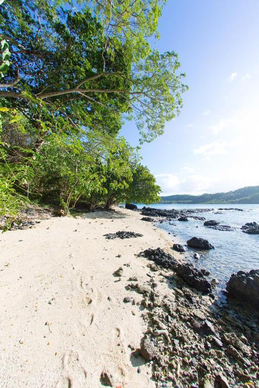 Sau Bay Resort - Off Taveuni Na Sau Bay Екстер'єр фото