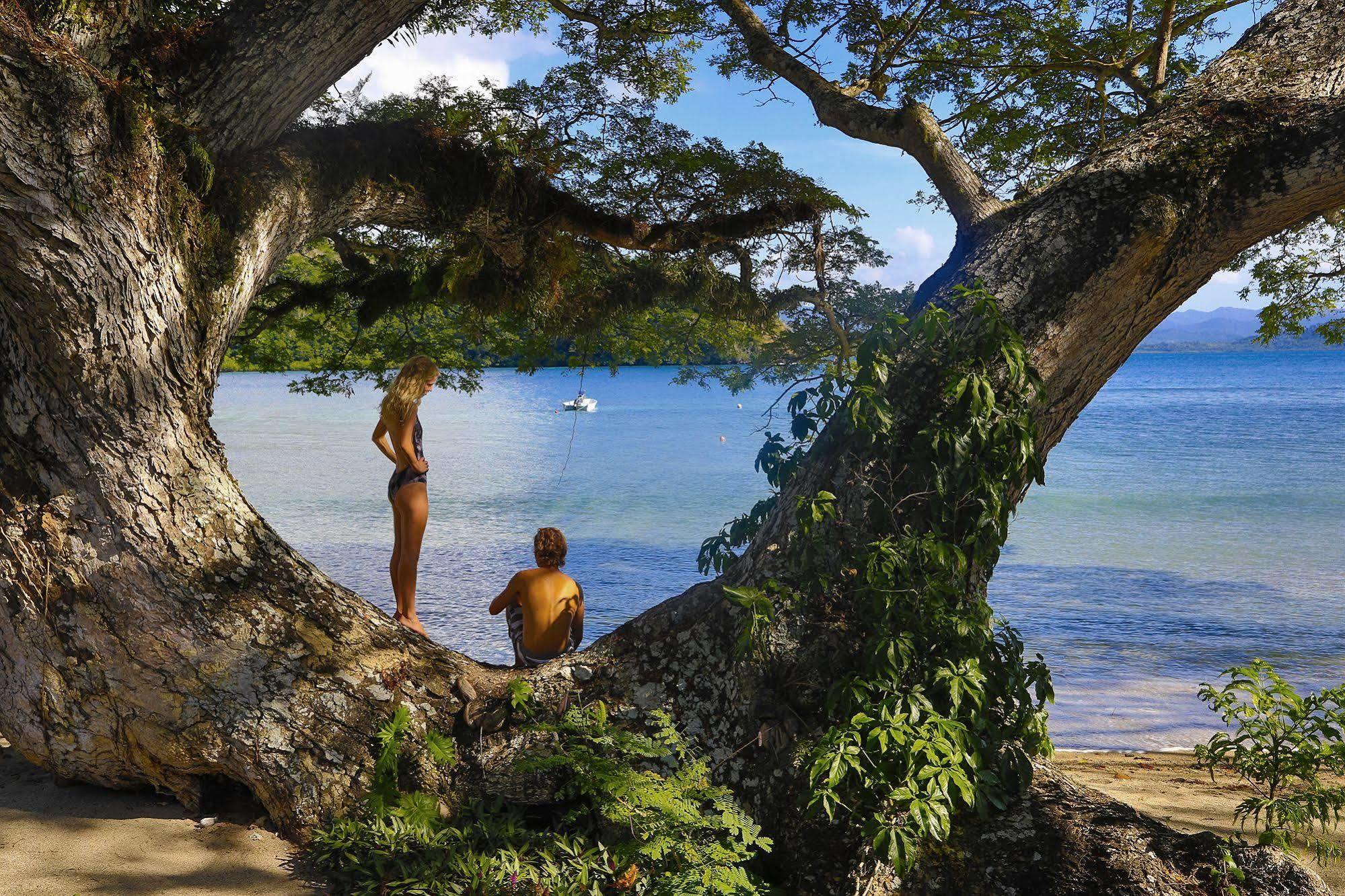 Sau Bay Resort - Off Taveuni Na Sau Bay Екстер'єр фото